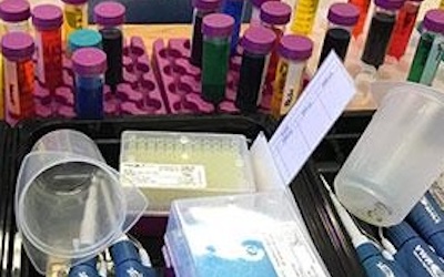Education Spotlight: Bay Area Bioscience Education Community (BABEC)
