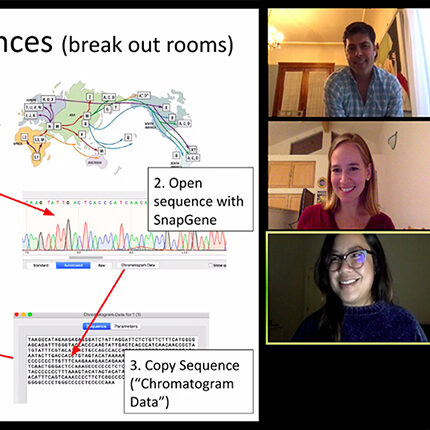 Fall 2020 Virtual Workshop Series Recap