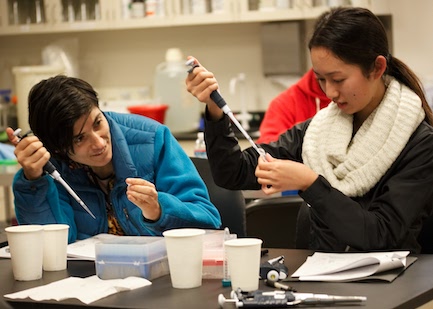 Alu PCR for a New Generation